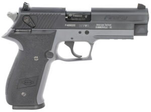 GSG GERG2210FFS FireFly  22 LR 10+1 4" Black Serrated Slide, Smoke Zinc Alloy w/Accessory Rail Frame, Black Polymer Grip