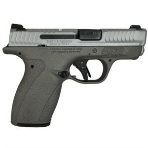 BODYGUARD 2.0 380ACP (1)10&(1)12 MAGS NTS SATIN GUN METAL