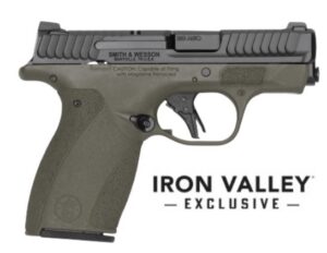 M&P Bodyguard 2.0 380ACP 2.75" NTS ODG 10/12 IVS