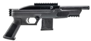 RS22P .22LR 6" TB Pic RL Blk 10-rd