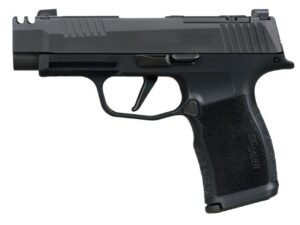 P365XL Comp 380 ACP 3.1" OR XRAY3 Blk 2/10rd