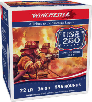 WIN USA 250TH 22LR 36GR COPPER HP 5550RD CASE